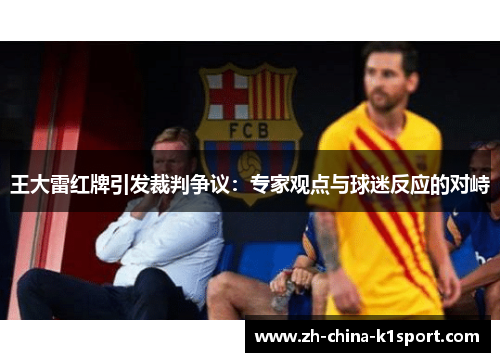 王大雷红牌引发裁判争议：专家观点与球迷反应的对峙