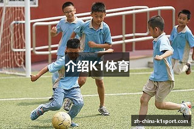 介绍K1体育
